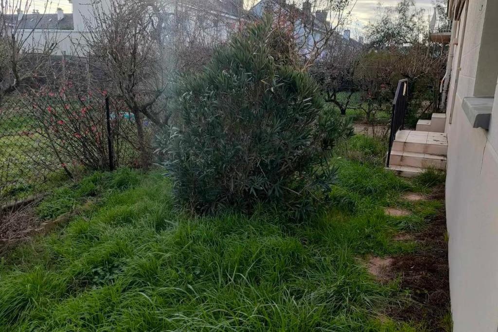 Appartement Cosy 2 Chambres Avec Jardin Les Ponts-de-Cé Dış mekan fotoğraf